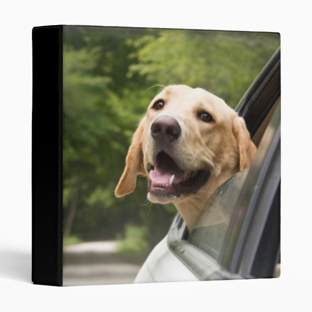 Golden Labrador In Rearview Mirror Binder (Front/Spine)