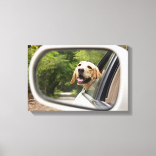 Golden Labrador In Rearview Mirror Canvas Print