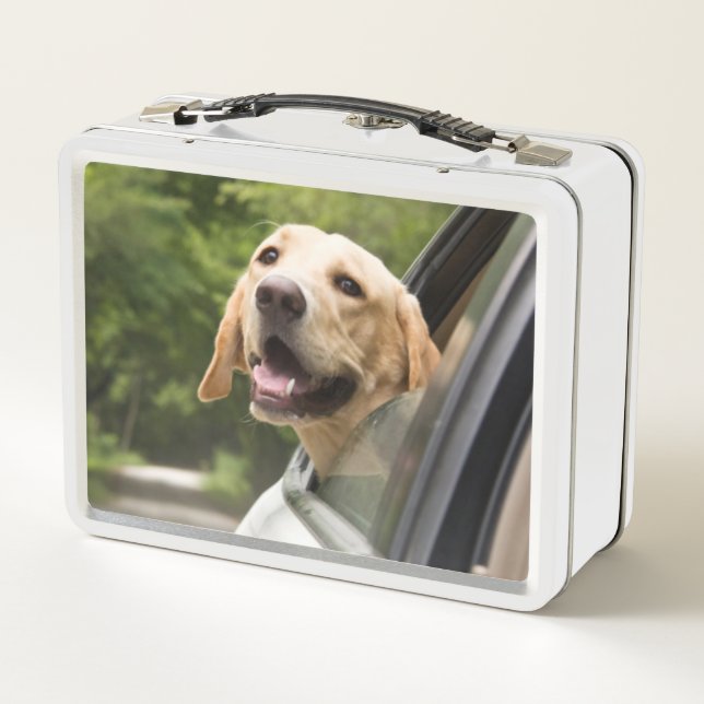 Golden Labrador In Rearview Mirror Metal Lunch Box (Back)