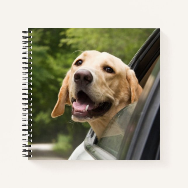 Golden Labrador In Rearview Mirror Notebook (Front)