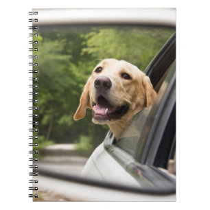 Golden Labrador In Rearview Mirror Notebook