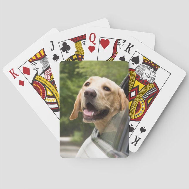 Golden Labrador In Rearview Mirror Playing Cards (Back)