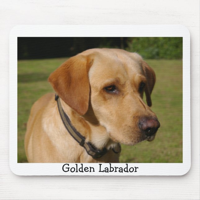 Golden Labrador Mouse Pad (Front)