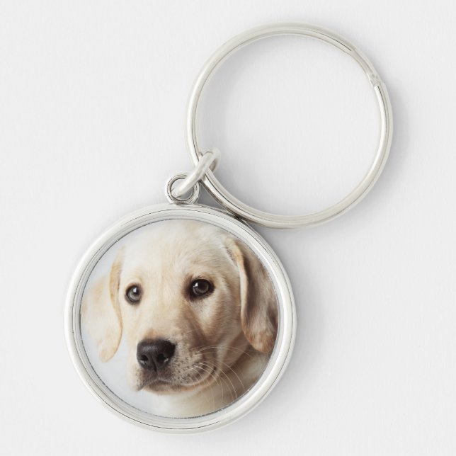 Golden Labrador Puppy Closeup Keychain (Front)