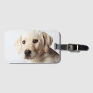 Golden Labrador Puppy Closeup Luggage Tag