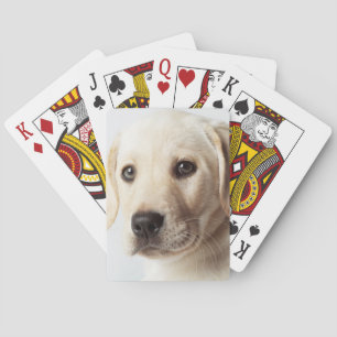 Golden Labrador Puppy Closeup Playing Cards
