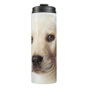 Golden Labrador Puppy Closeup Thermal Tumbler