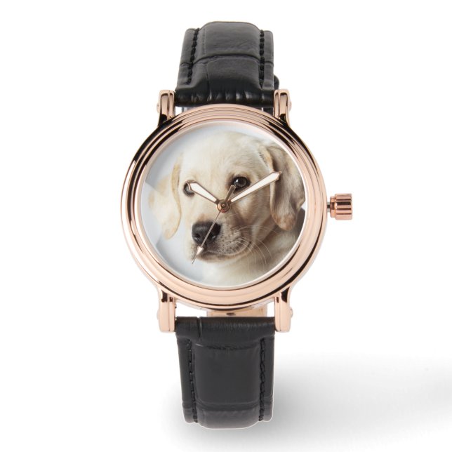 Golden Labrador Puppy Closeup Watch (Front)