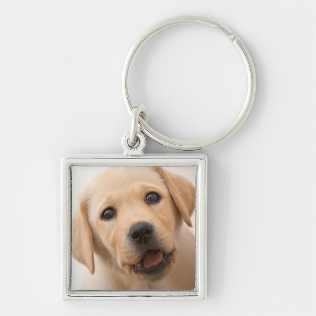 Golden Labrador Puppy Keychain (Front)