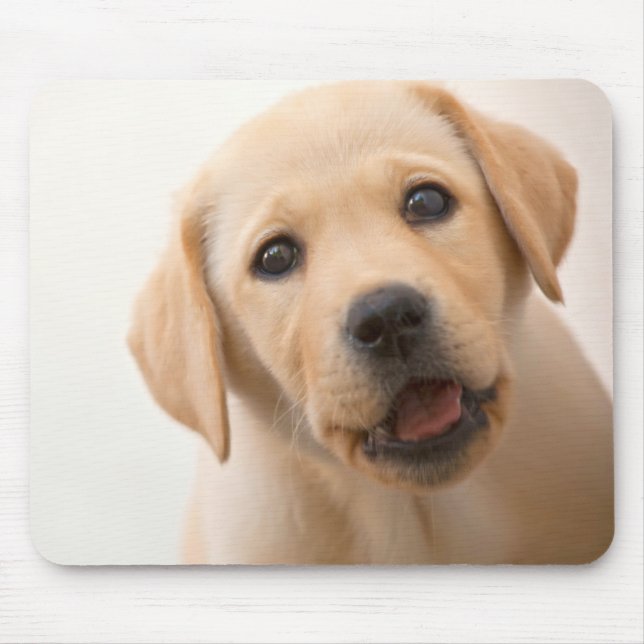 Golden Labrador Puppy Mouse Pad (Front)