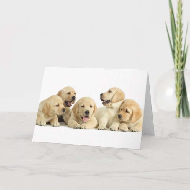 Golden Labrador Puppy Pile Card (Front)