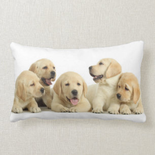Golden Labrador Puppy Pile Lumbar Pillow