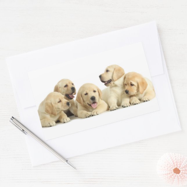 Golden Labrador Puppy Pile Sticker (Envelope)