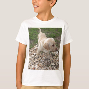 Golden Labrador Puppy T-Shirt