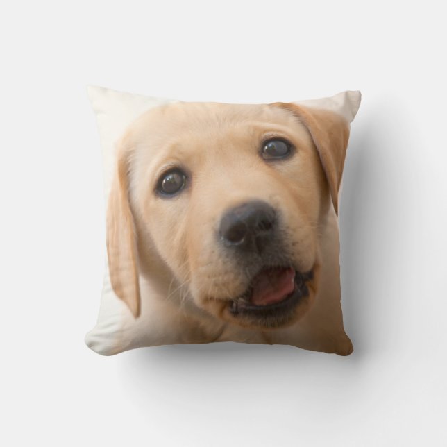 Golden Labrador Puppy Throw Pillow (Front)