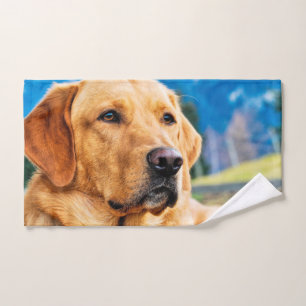 Golden Labrador Retriever