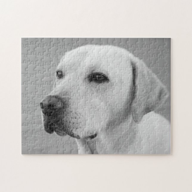 Golden Labrador Retriever Photograph | BW Jigsaw Puzzle (Horizontal)