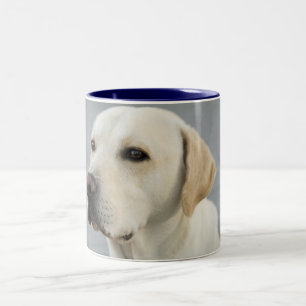 Golden Labrador Retriever Photograph Two-Tone Coffee Mug