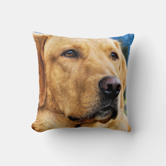 Golden Labrador Retriever Throw Pillow (Front)
