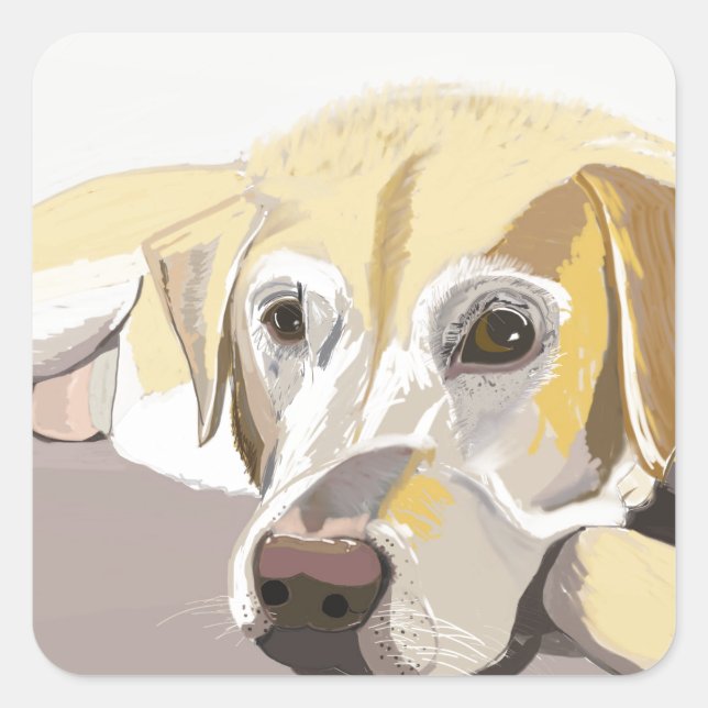 Golden Labrador Square Sticker (Front)