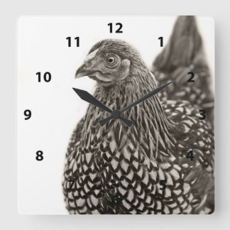 Golden Laced Wyandotte Chicken Square Wall Clock