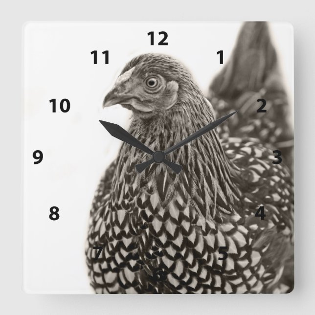 Golden Laced Wyandotte Chicken Square Wall Clock (Front)