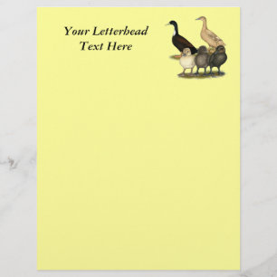 Golden Layer Duck Family