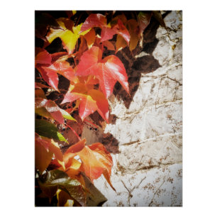golden leaves in water poster