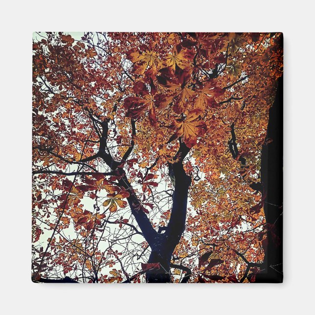Golden leaves magnet (Front)