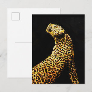 Golden Leopard in Shadow – Chiaroscuro Wildlife Postcard