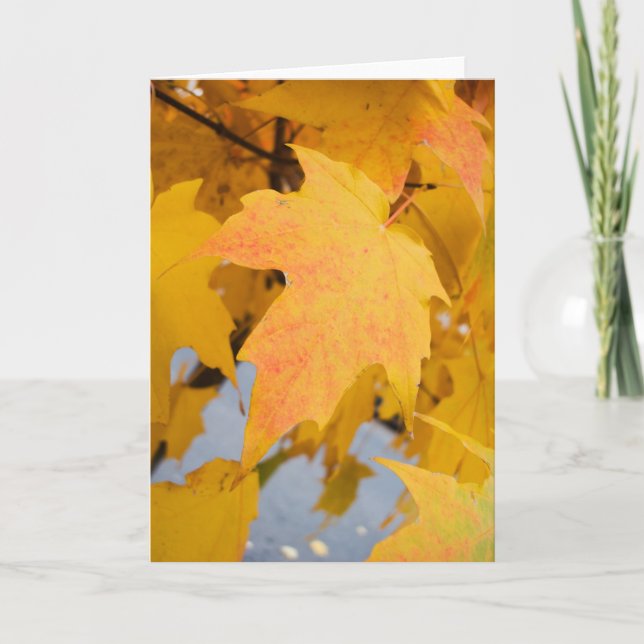 Golden Light Greeting Card (Front)