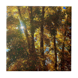 Golden Light Tile