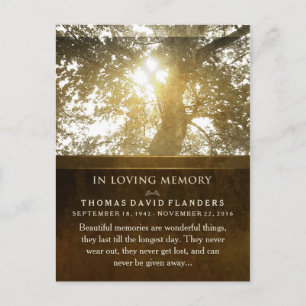 Golden Light Tree In Memory Sympathy Thank You Postcard