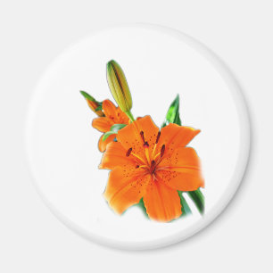 Golden Lily Magnet