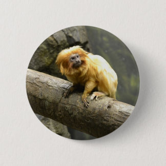 Golden Lion Tamarin 2 Inch Round Button