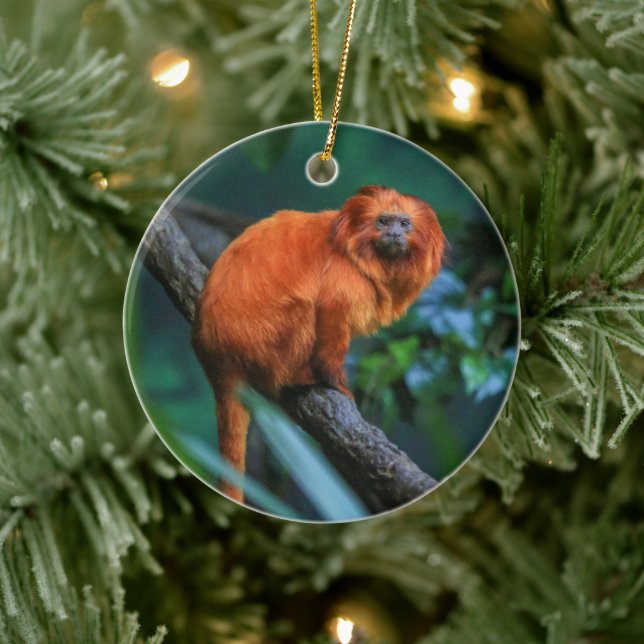 Golden Lion Tamarin Ceramic Ornament (Tree)