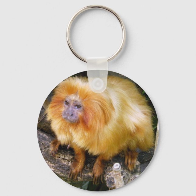 Golden Lion Tamarin Keychain (Front)