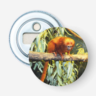Golden Lion Tamarin Observing, Bottle Opener