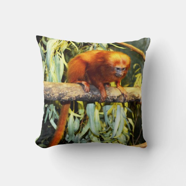 Golden Lion Tamarin Observing, Cushion (Front)