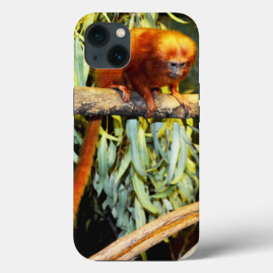 Golden Lion Tamarin Observing, iPhone 13 Case