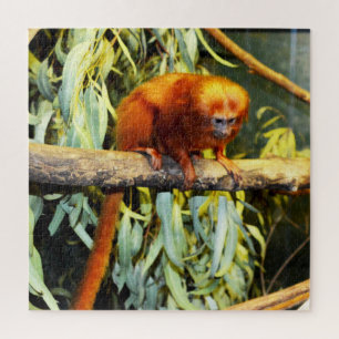 Golden Lion Tamarin Observing, Jigsaw Puzzle