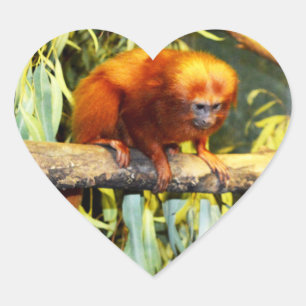Golden Lion Tamarin Observing, Loveheart Stickers