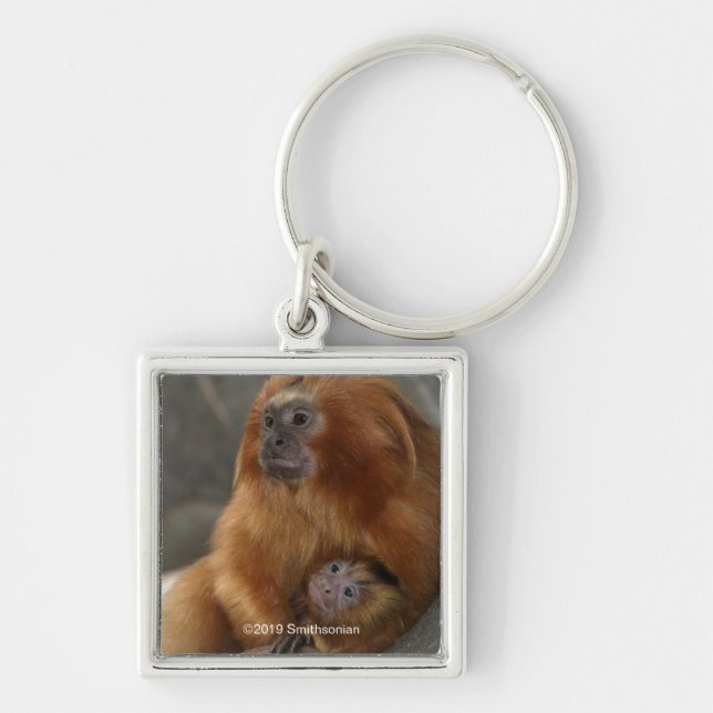 Golden Lion Tamarin with Baby Keychain (Front)