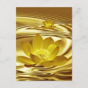 Golden lotus flower postcard