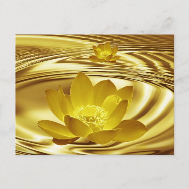 Golden lotus flower postcard (Front)