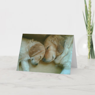 Golden Love Card