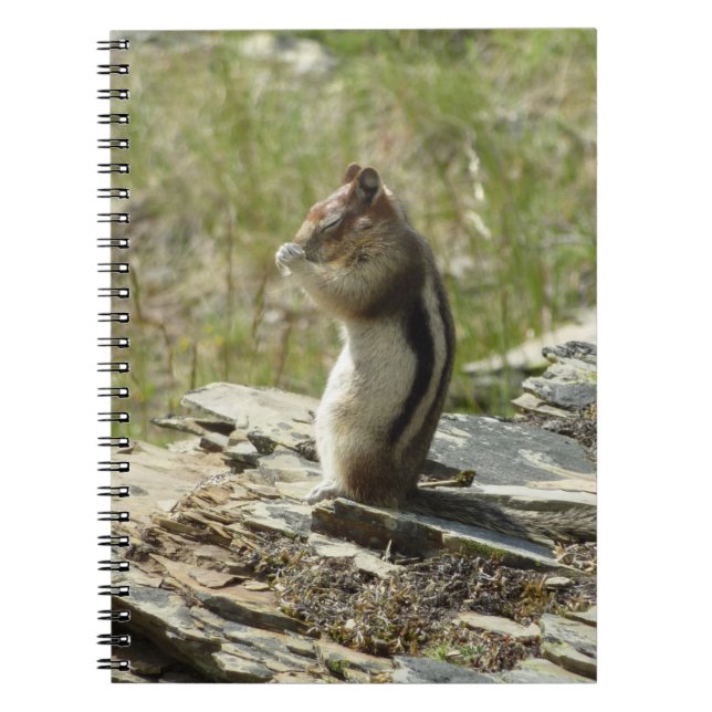 Golden-Mantled Ground Squirrel at Glacier I Notebook (Front)