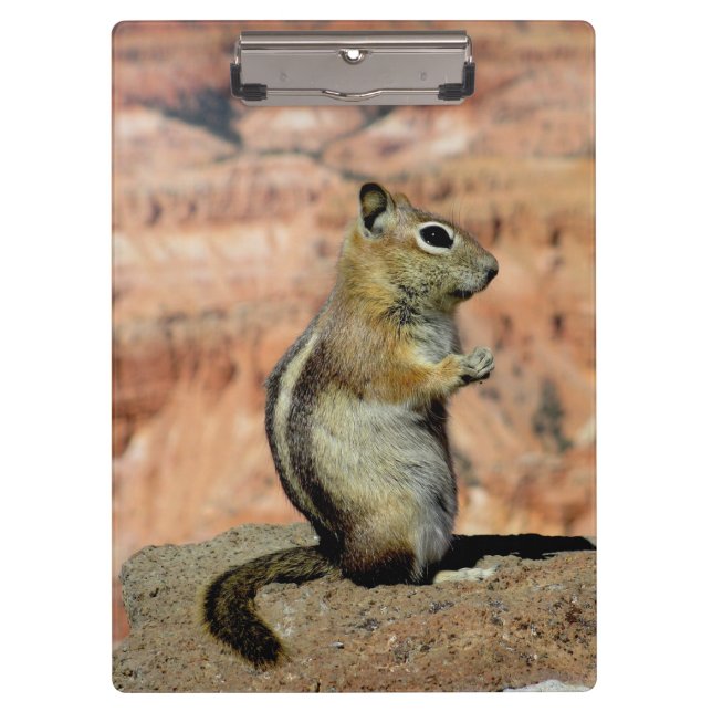 Golden Mantled Ground Squirrel Clipboard (Front)