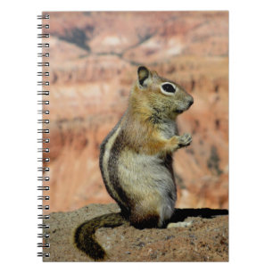 Golden Mantled Ground Squirrel Notebook