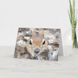 Golden Mantled Ground Squirrel Notecard